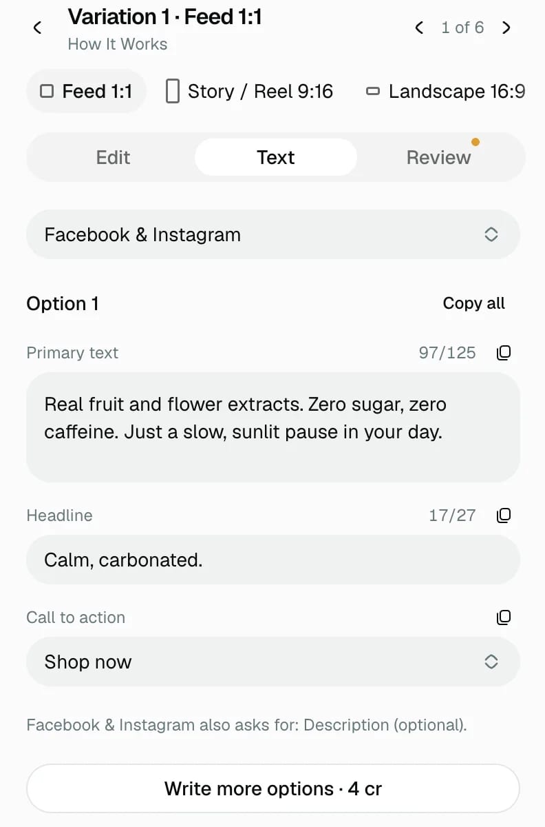 The Text tab for Facebook and Instagram: primary text, headline and call to action, each with a character counter and a copy button.